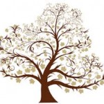 images images